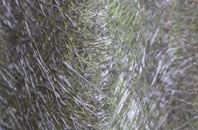 Berkhamsted fibreglass roof work